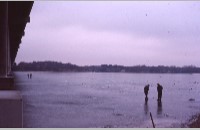 Lake Worth frozen over, December 1983-January 1984 (095-022-180)